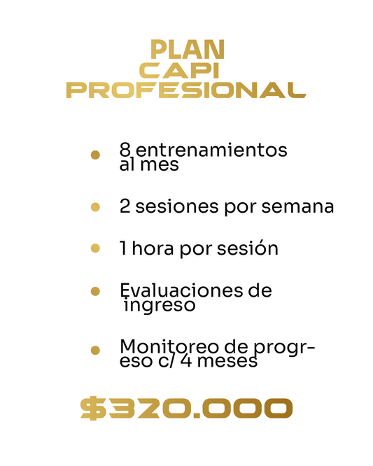 Plan Capi Profesional